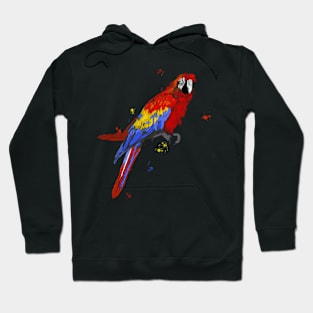 Parrot Hoodie